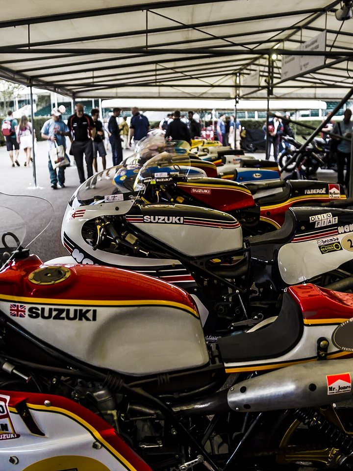 Herron RG500